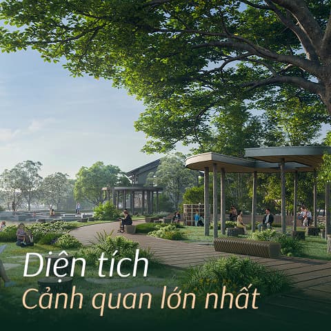 Diện tích cảnh quan